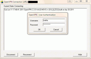 OpenVPN Gui per Windows (1)